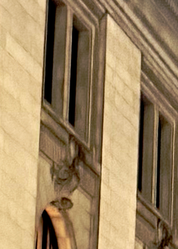 A photo cropped to 5x7 inches